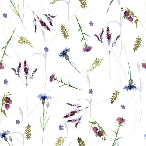 Jersey wildflowers on a white background