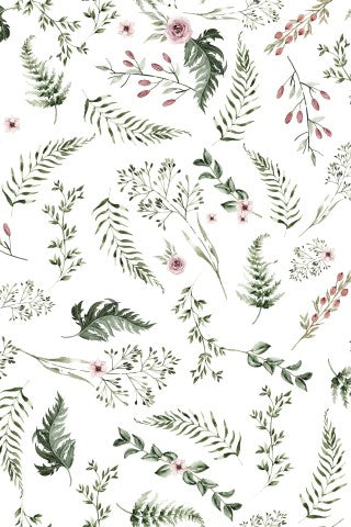 Franska frottéormbunkar och blommor på vit bakgrund