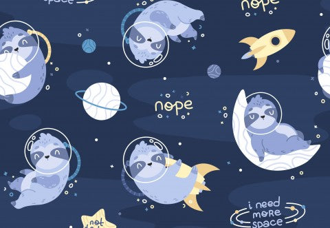 Panama cute sloths in space