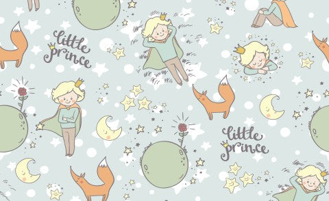 Jersey the little prince, a fox and stars