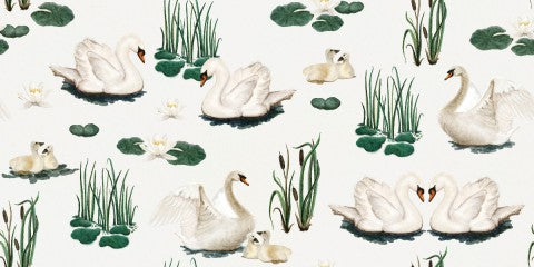 French Terry white swans and water lilies on a white background