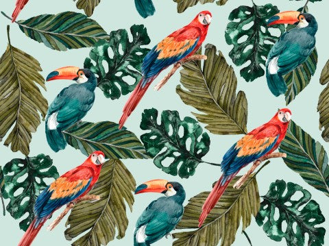 Muslin toucans and tropical leaves