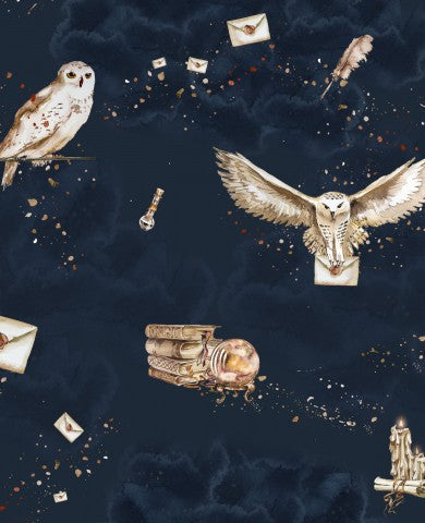 French Terry, ett tyg med Harry Potter-motiv, ugglor och kuvert