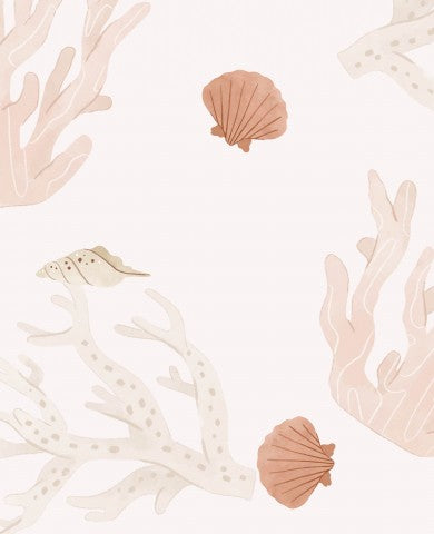 Rib Jersey corals and shells on white background