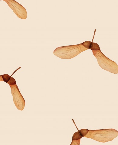 Motivo SoftShell di semi d'acero su sfondo crema