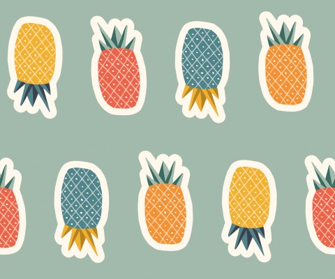 Baumwolle-Ananas-Canvas: Natürlich weich und atmungsaktiv für deine nächsten Näharbeiten! 100% Baumwolle, Ananas-Druck, 60 cm breit, Meterware zum nähen