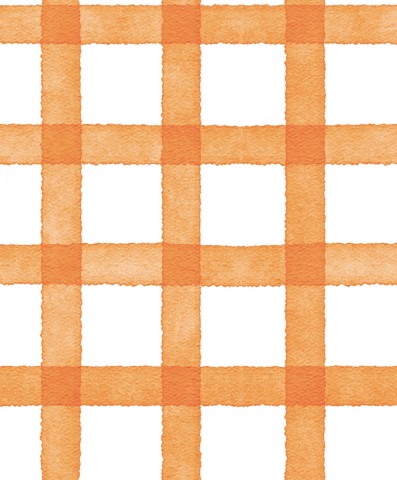 French Terry an orange and white check pattern