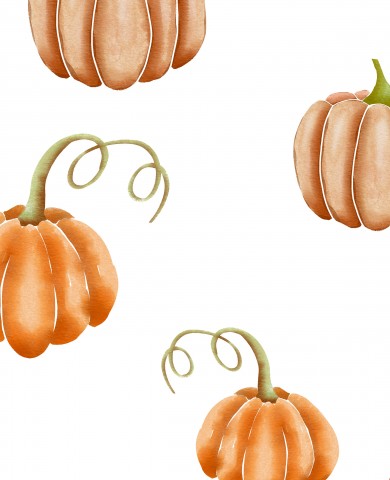Citrouilles aquarelles SoftShell sur fond blanc