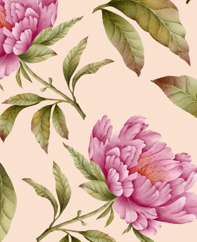 Jersey rosa Pfingstrosenblüten und -blättern