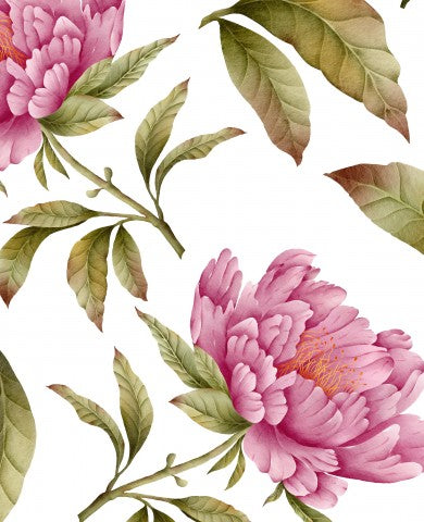 Musselin rosa Pfingstrosenblüten und -blättern