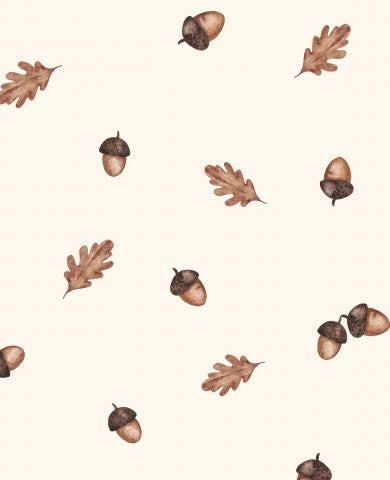 Panama acorns and leaves
