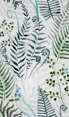 Franska frottéormbunkar och blad på en grå bakgrund