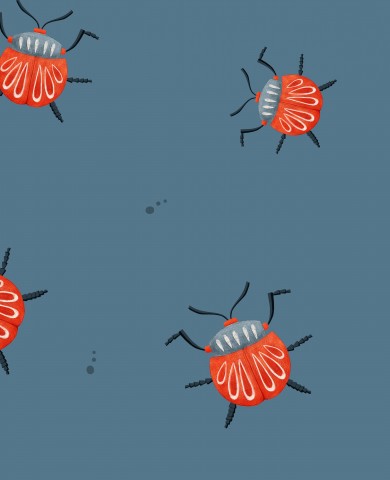 Jersey a group of red beetles on a blue background