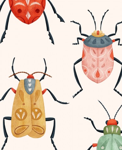 SoftShell four different types of beetles in watercolor
