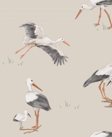 Panama storks on beige background