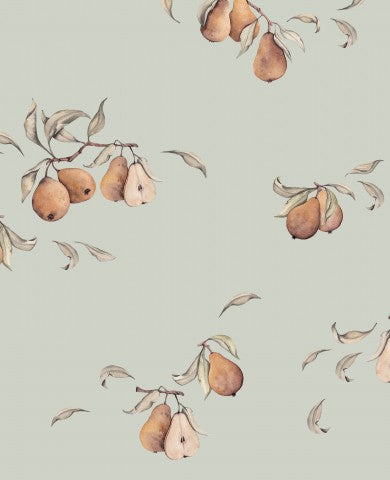 Panama pears and leaves on them