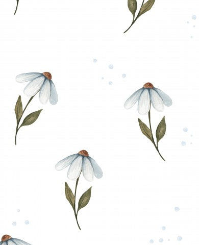 French Terry daisies on a white background