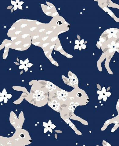 Jersey rabbit and flowers on dark blue background