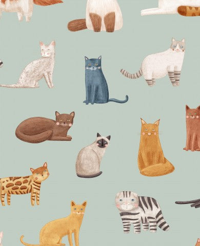 Jersey cats on a green background