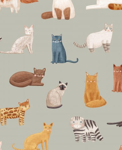 Canvas Baumwolle Cat Breeds Grün Safari Farbe: Exklusive Baumwollstoffe für nähen, ideal für Katzenliebhaber und Tierfans. Gute Qualität, faire Preise, schnell
