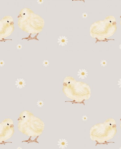 Poulets et marguerites en mousseline