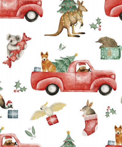 Rib Jersey Kangaroos, Koalas and other animals in a red truck