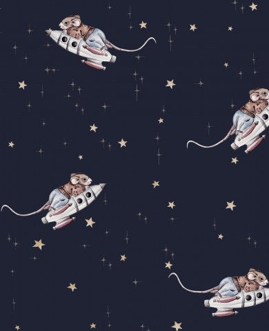 Muslin mice riding on a spaceship