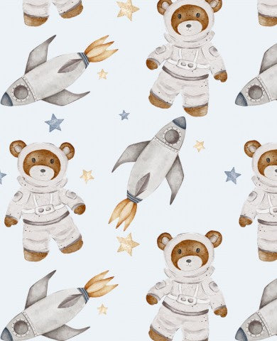 Panama Teddybären in Raumanzügen