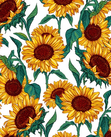 Satin cotton sunflowers on white background