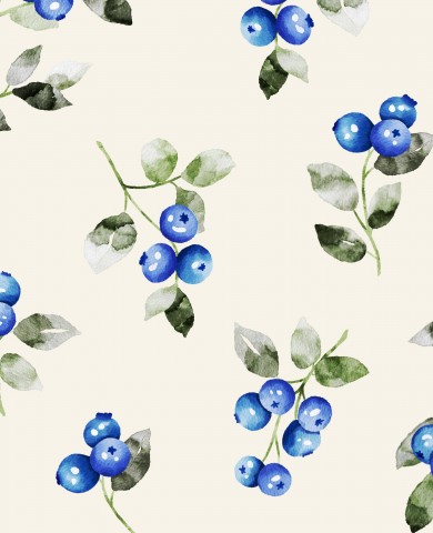 Panama Blaubeeren auf weißem Hintergrund