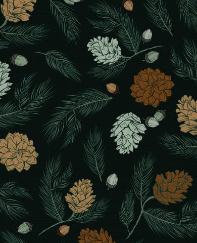 Panama pine cones and leaves on black background