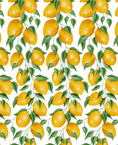 Limones French Terry sobre un fondo blanco