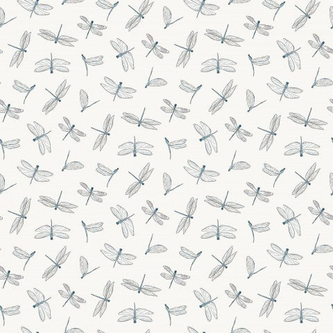 SoftShell dragonflies on a white background