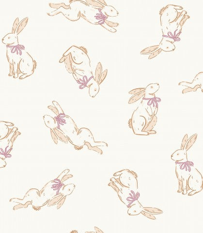 Rib Jersey Rabbit on white background