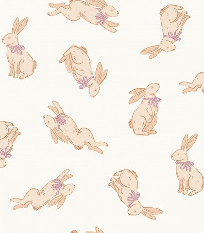 Rib Jersey Rabbit on white background