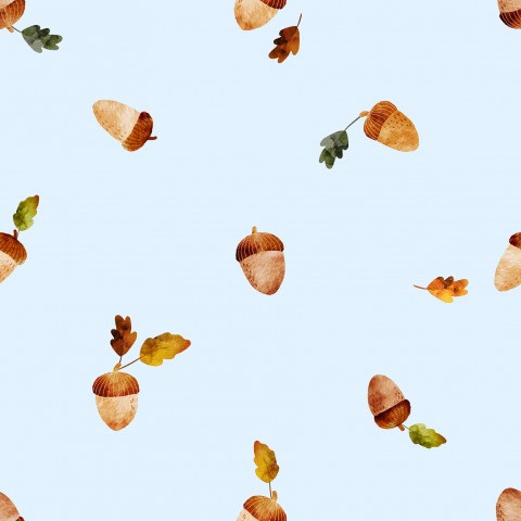 SoftShell acorns and leaves on a blue background