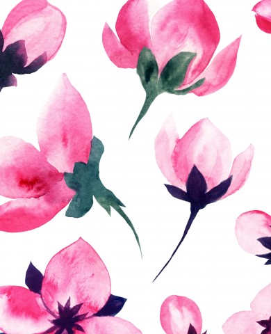 French Terry, en akvarell av rosa blommor på en vit bakgrund