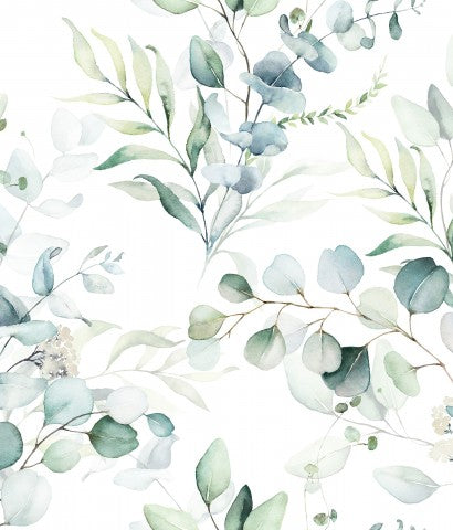 Jersey Eukalyptusblättern und -zweigen in Aquarell