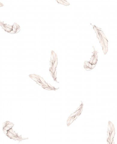 Plumas de felpa francesa sobre un fondo blanco