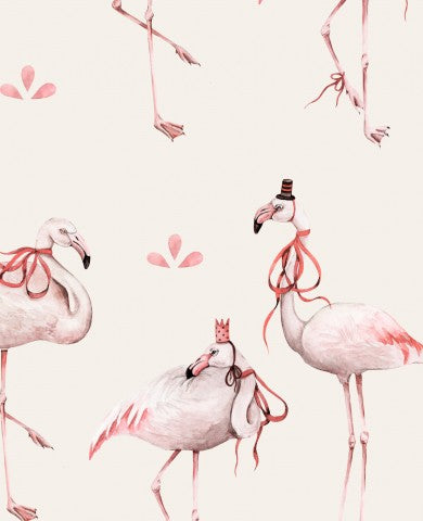 Panama pink flamingos