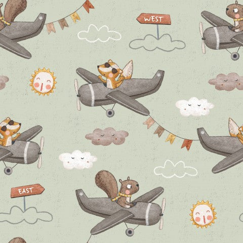 Jersey squirrels and airplanes