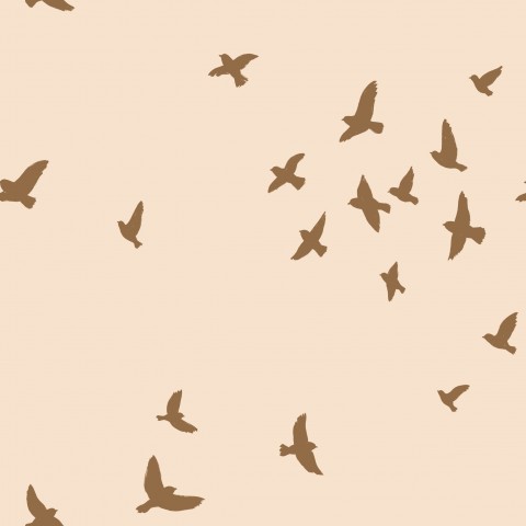 Jersey : une volée d'oiseaux volant sur un fond beige