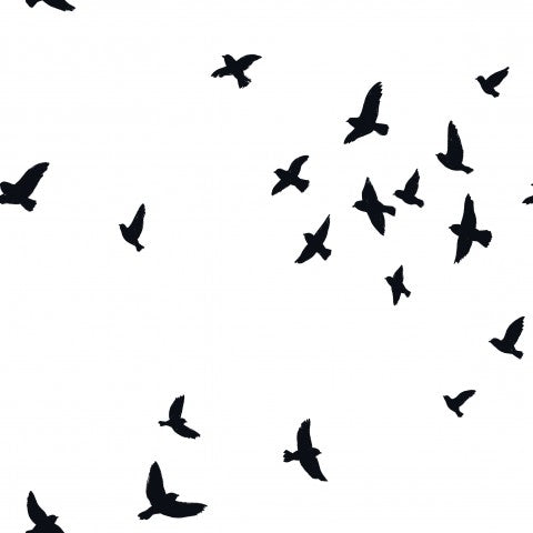 Baumwolle-Canvas-Stoff in Weiß - ideal für näherliche Projekte. Fliegende Vögel-Muster auf sauberer weißen Untergrund. 100% Baumwolle, Meterware, zum nähen.