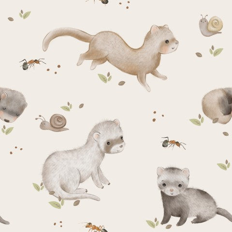 Panama Ferrets and Insects