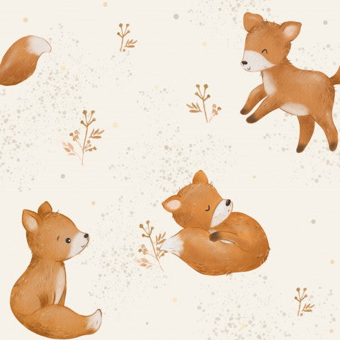 Renards mignons en SoftShell