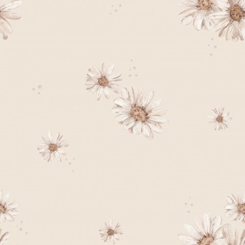 Satin cotton daisies on beige background