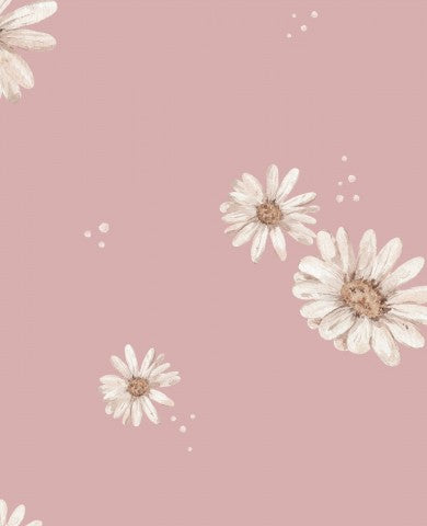 Marguerites blanches en French Terry sur fond rose