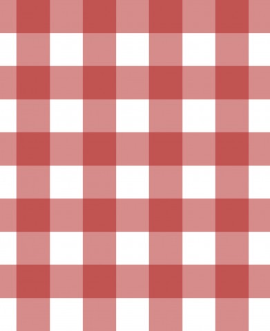 Panama una tovaglia a quadri rossi e bianchi