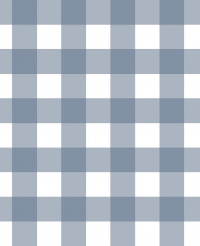 Satin cotton a blue and white checked fabric