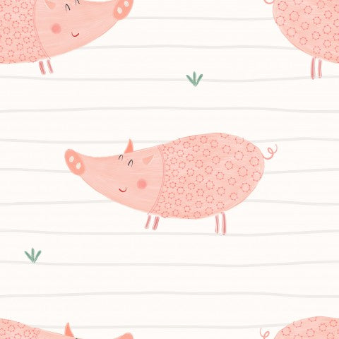 Jersey pink pigs on a white background